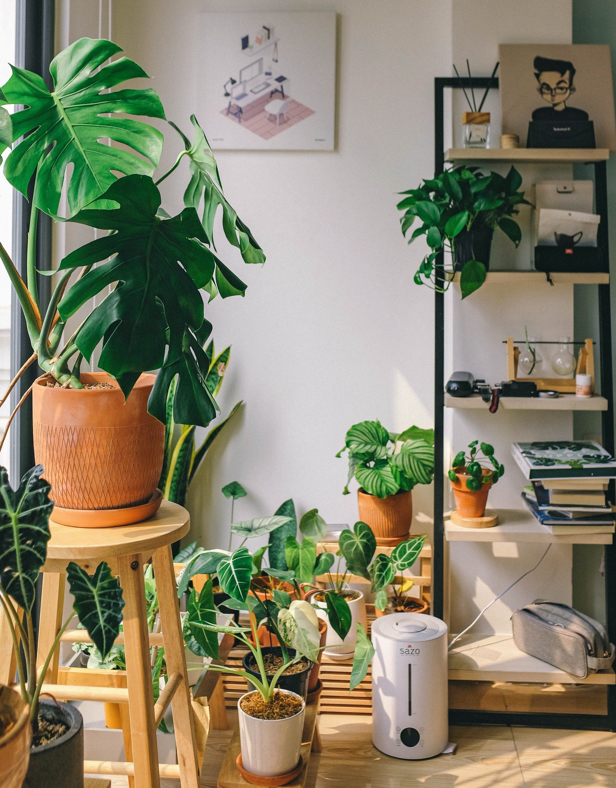 A Breath of Fresh Air: Why You Should Bring Greenery Into Your Living Areas